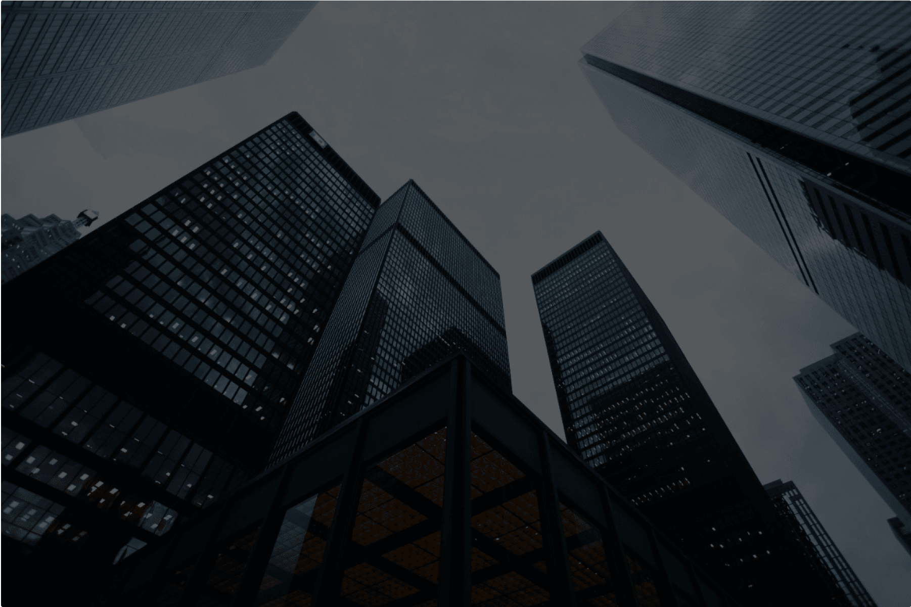 Actualités & insights